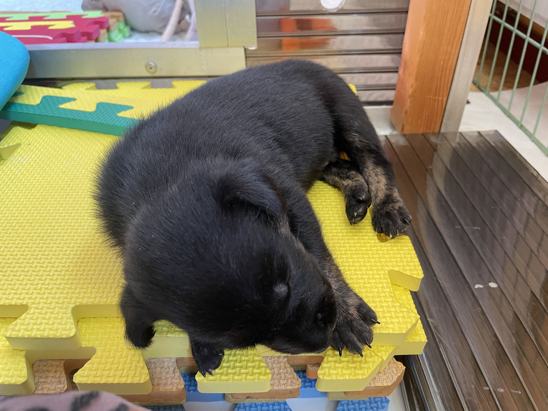 50B8CD26-CACD-4615-9D4D-82E4744FB2D4