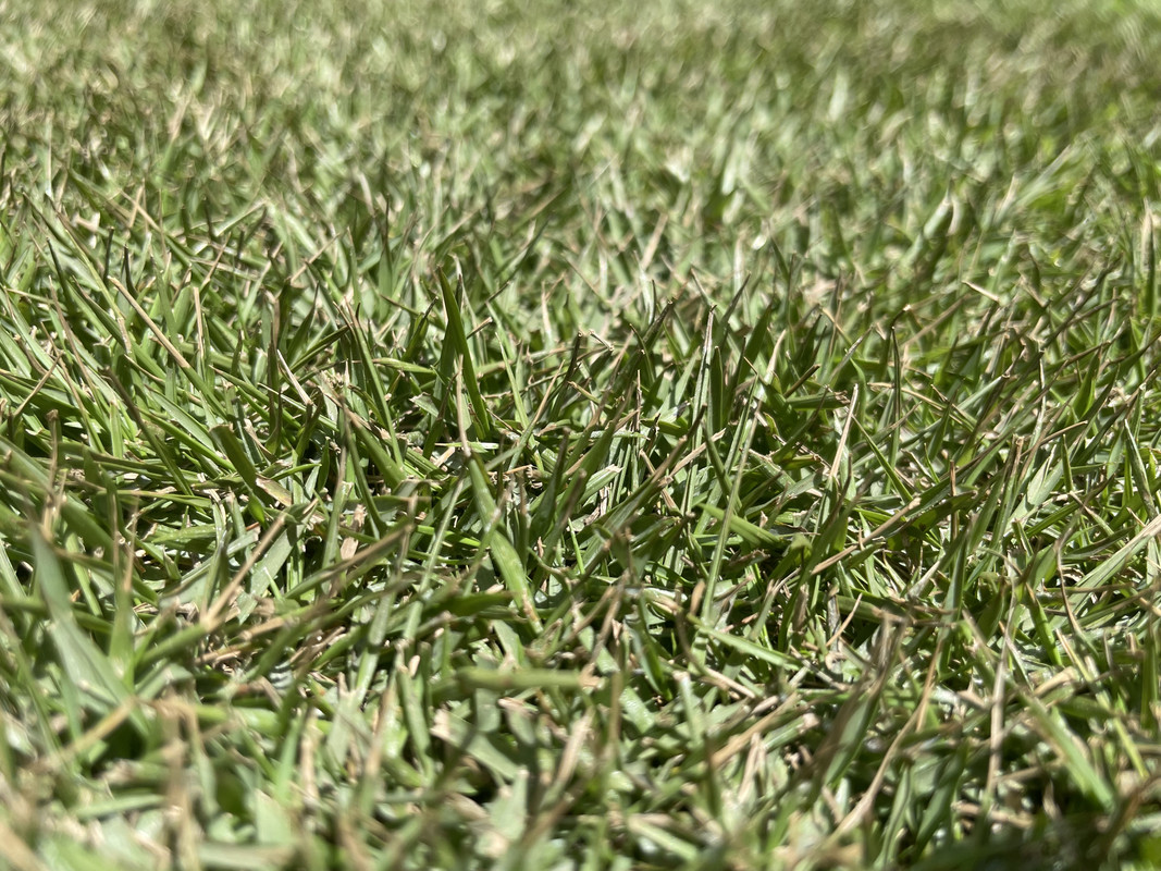 2440391C-8604-482C-92D6-C326466D37C9