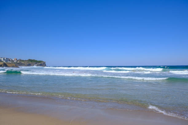 Bondi Beach Deaths