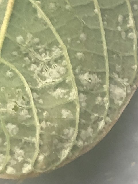 66F11AF8-2220-4FF5-B761-69353F9E964F