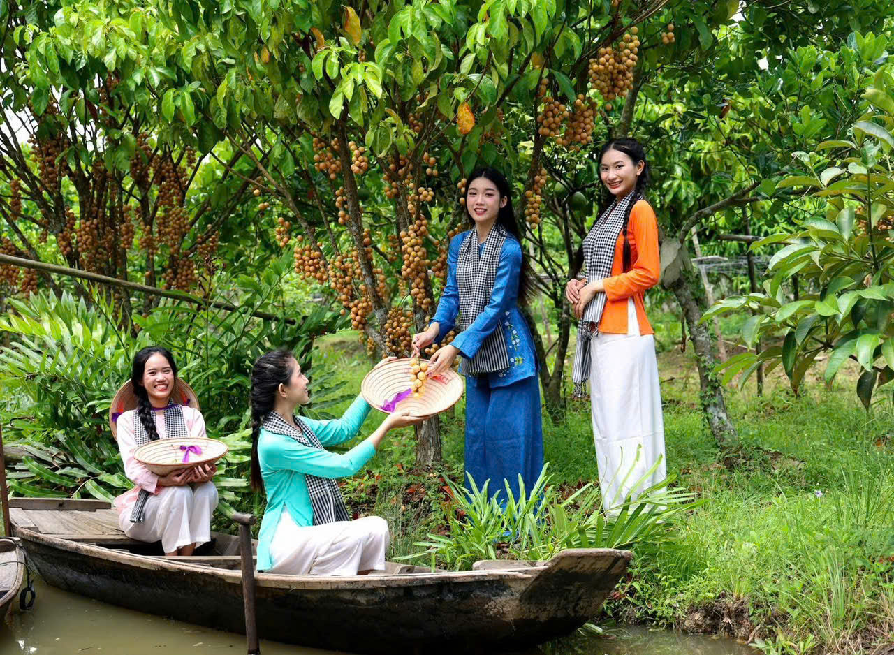 Vườn trái cây