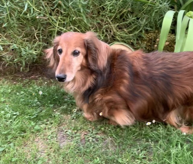 [Image: IMG-6641.jpg]