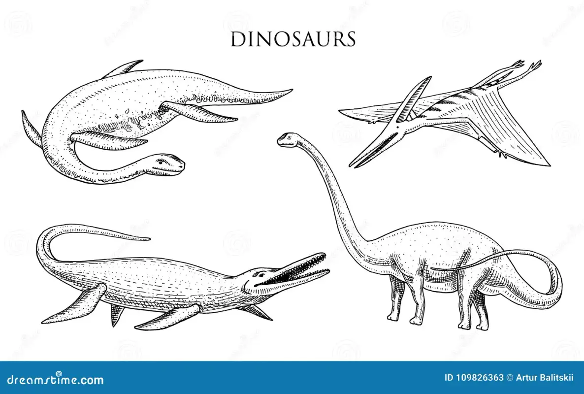 o-elasmosaurus-dos-dinossauros-mosasaurus-barosaurus-diplodocus-apatosaurus-pterosaur-esqueletos-fós