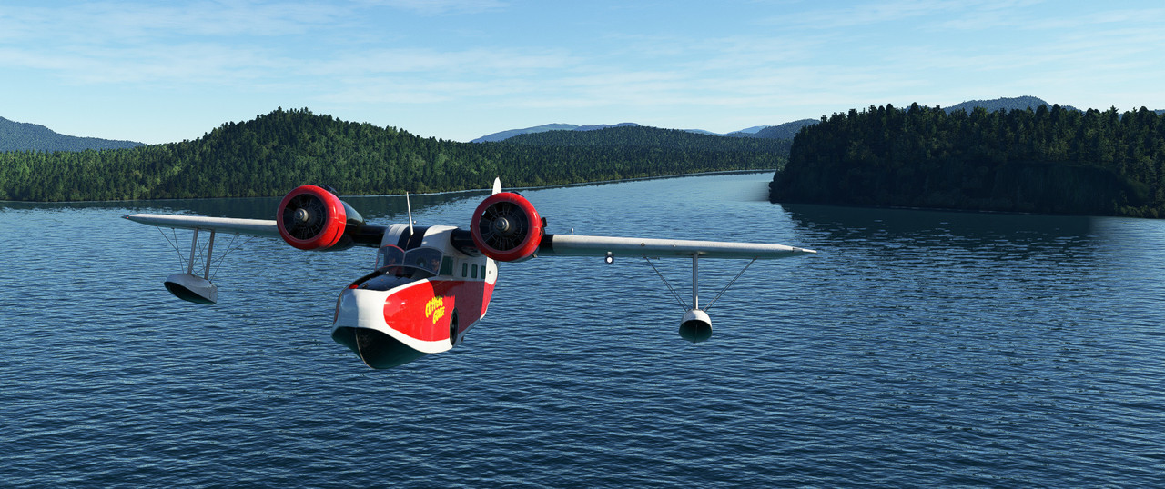 Goose-6.jpg