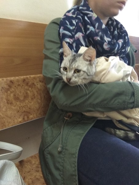 9BAF95BC-64B6-4DF5-AEB1-DA0FC50CC292