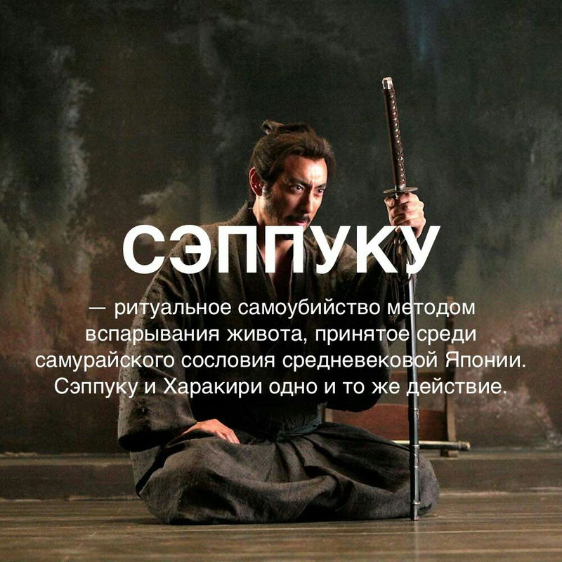 [Изображение: 24e43419bd23f4c472968acf003dfb1b.jpg]