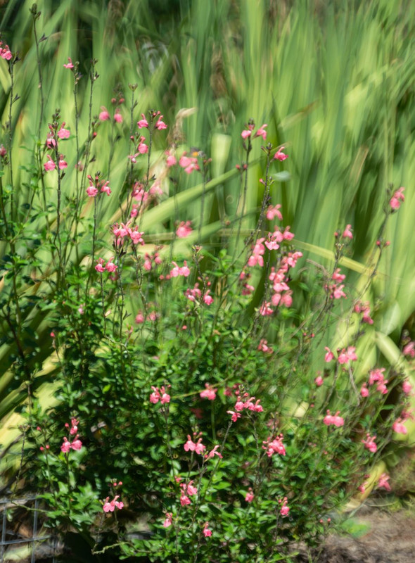 IMG-b1bce8957a8d3aafd7ed5fec918f101e-V