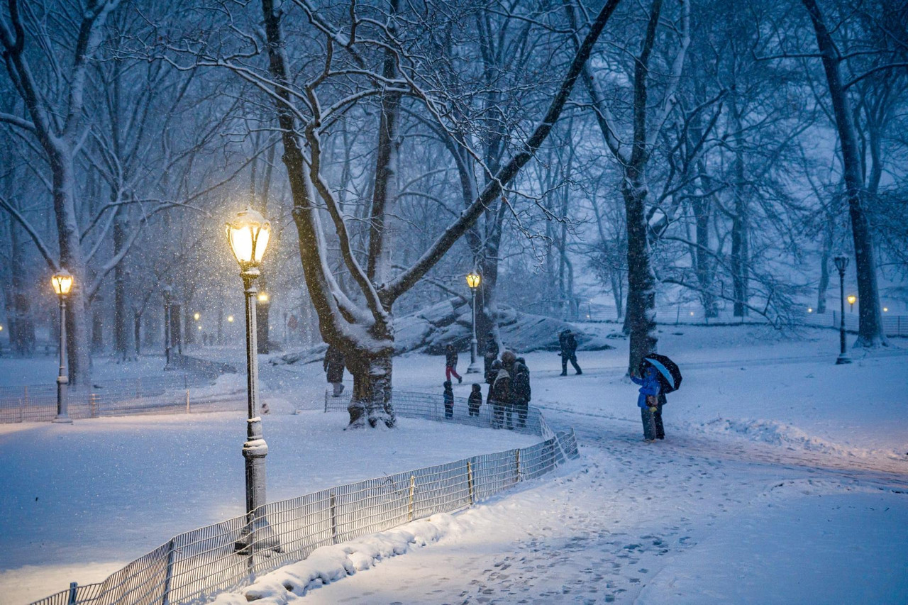 central park snow (3)