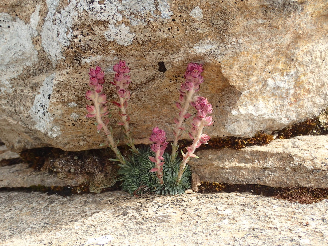 2019_0804BAŁKANY0860