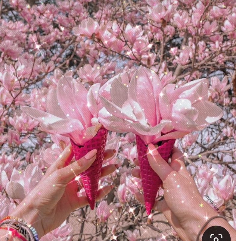 Screenshot_20240601_154937_Pinterest