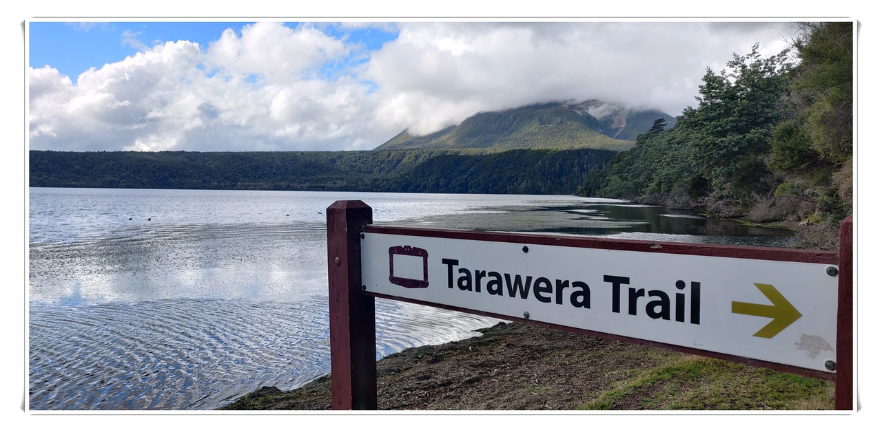 Cosas que hacer en Rotorua - Escapadas y rutas por la Nueva Zelanda menos conocida (39)