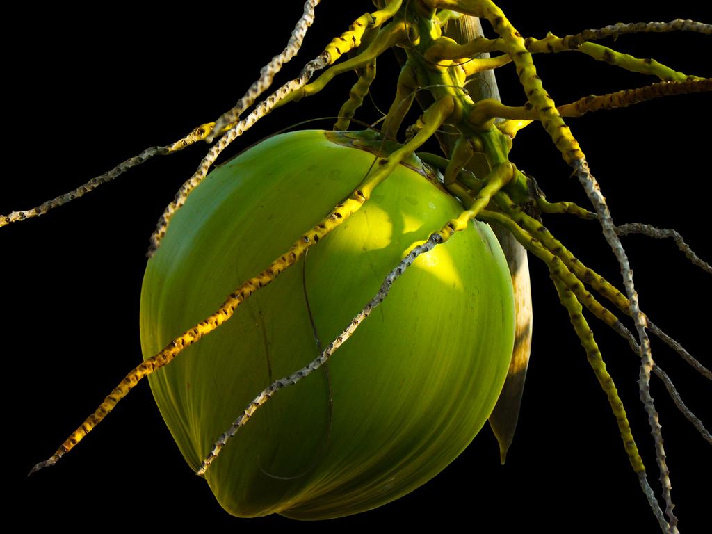 reduced-green.jpg