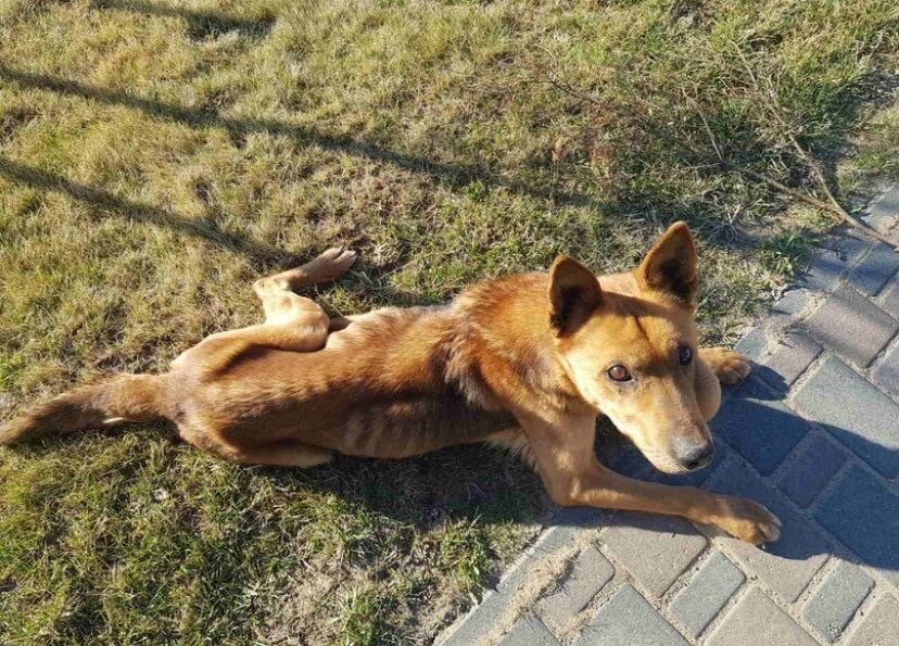 72D45FBF-9B71-4850-A4AF-B05E9F2D124D