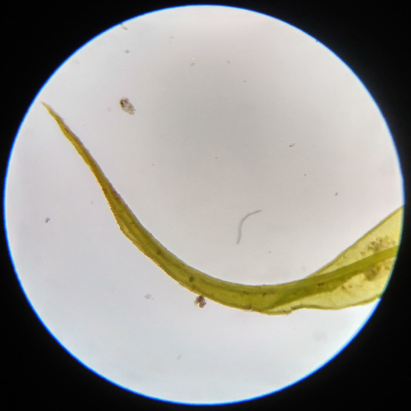 IMG 20250617 121730 HDR