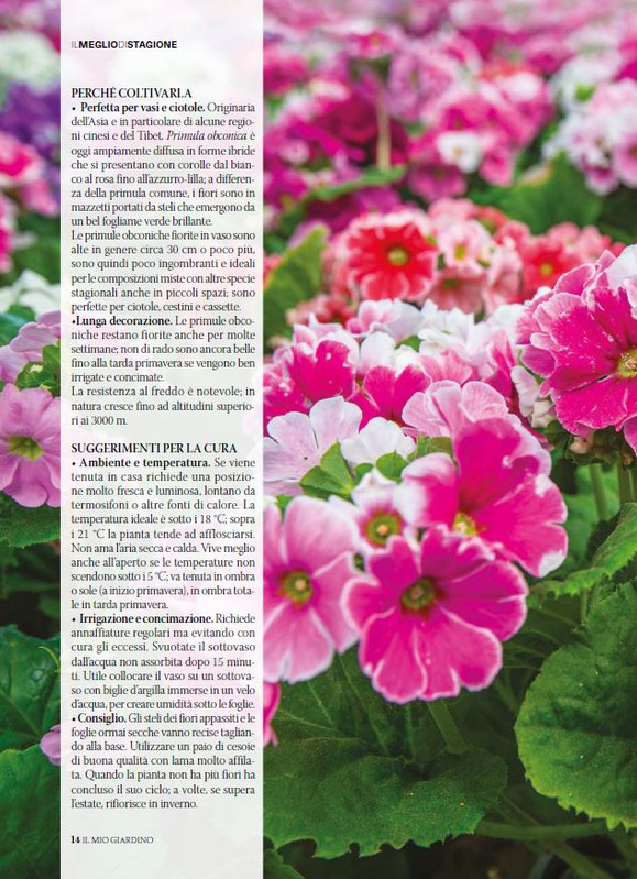 il mio Giar Feb Mar 2026 (1)