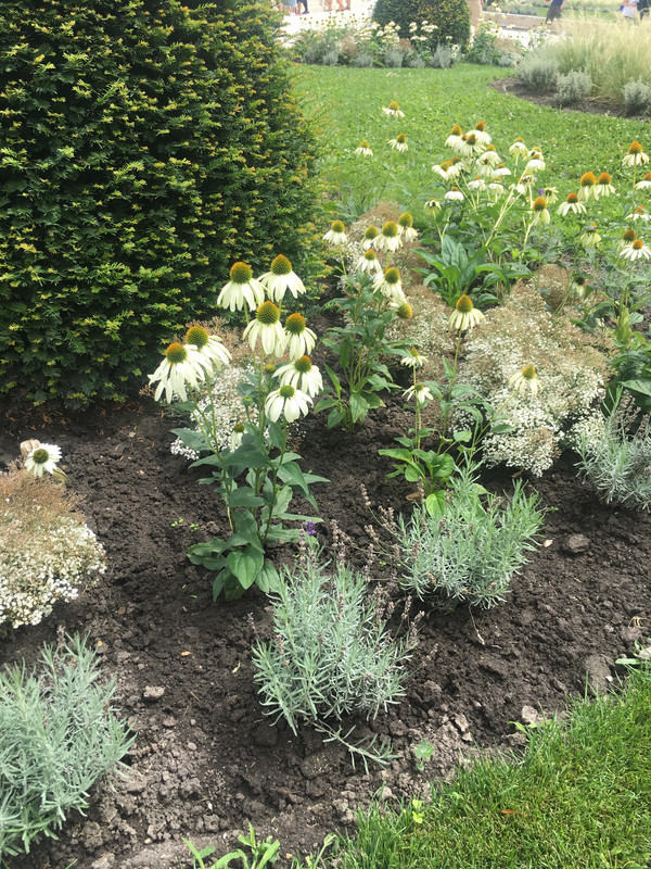 104AD6F2-5D43-4D18-984A-A7DA3F91B217