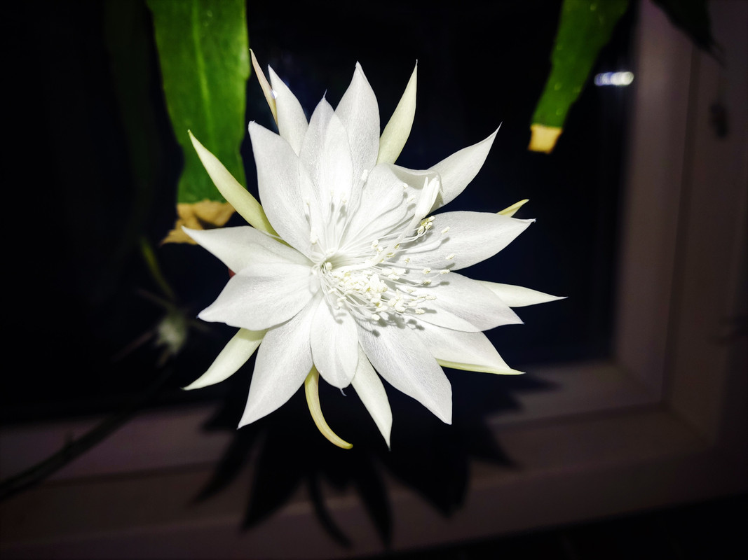 IMG_20220904_221541 (2)