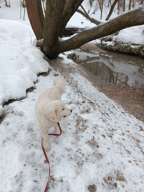 5F2A6468-91D5-4A5B-9714-9CD28D6672CE