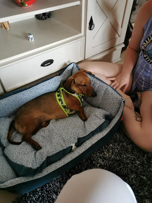 [Image: image000000-190.jpg]