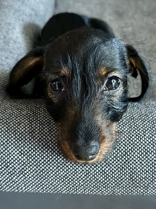 [Image: IMG-1934.jpg]