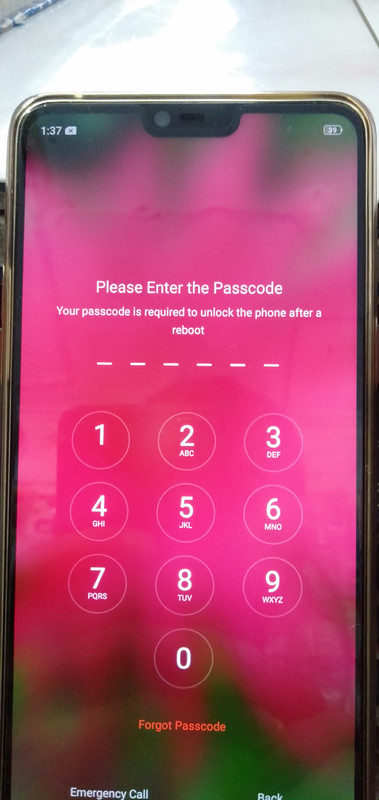 IMG20190101133754[1]