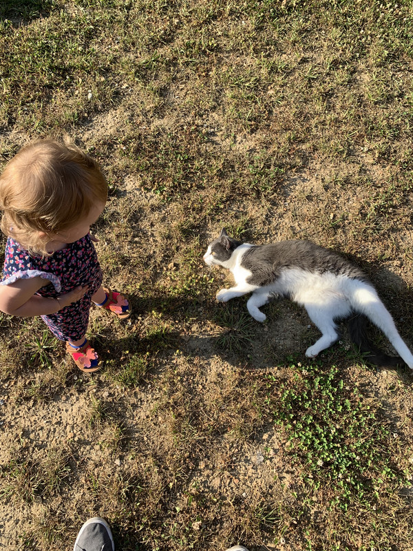 630512AE-E11A-4C39-9747-FA63796B4951