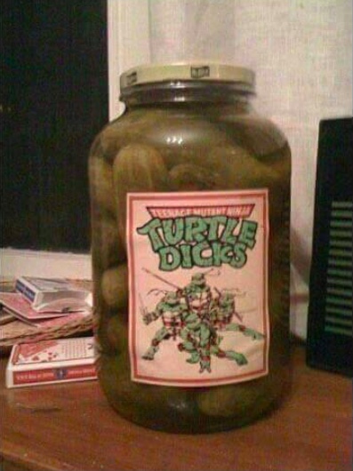 turtledicks