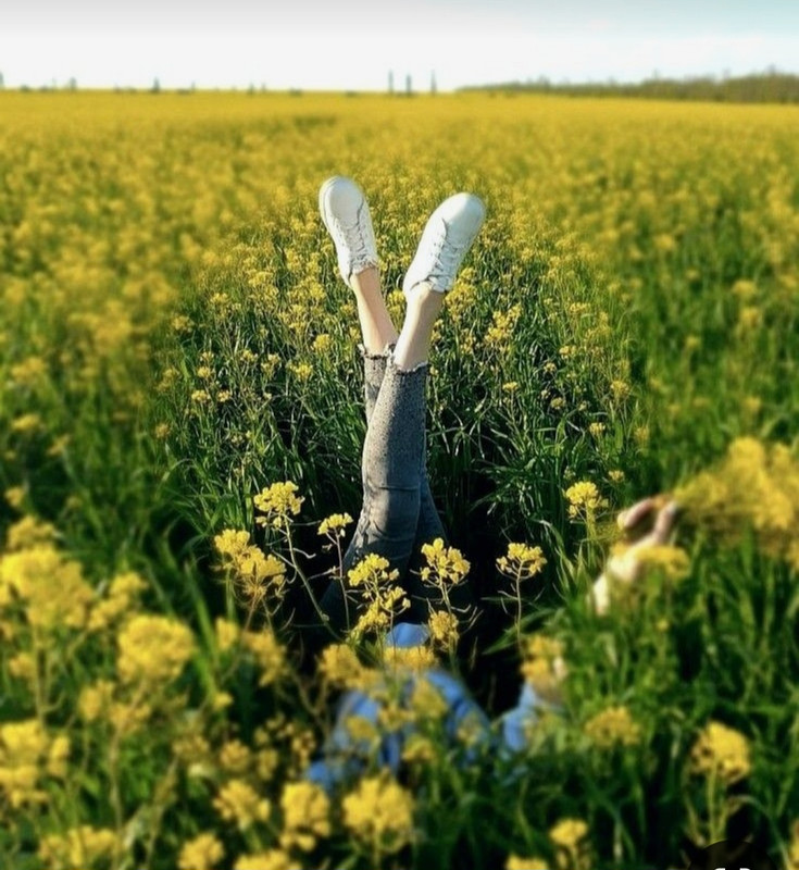 Screenshot_20240601_155955_Pinterest