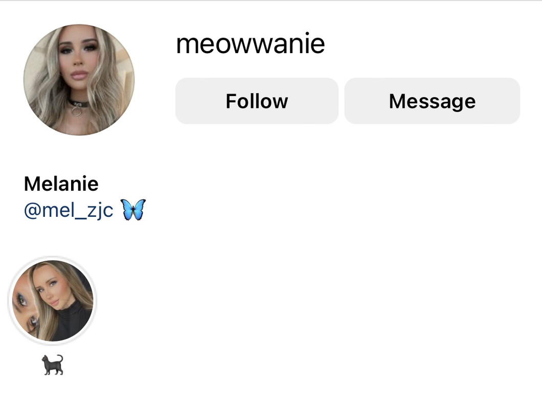 [Image: meowwanie.jpg]