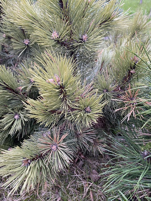 E08996E0-11E8-4191-9F59-AE4B98872730