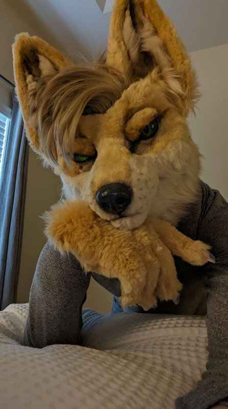 love-seeing-my-fox-brush-come-alive-partial-suit-created-by-v0-u4ucoytgf7dd1.jpg