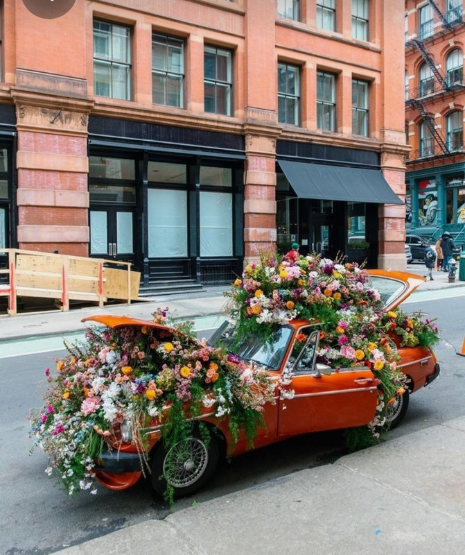 Screenshot_20230514_151843_Pinterest