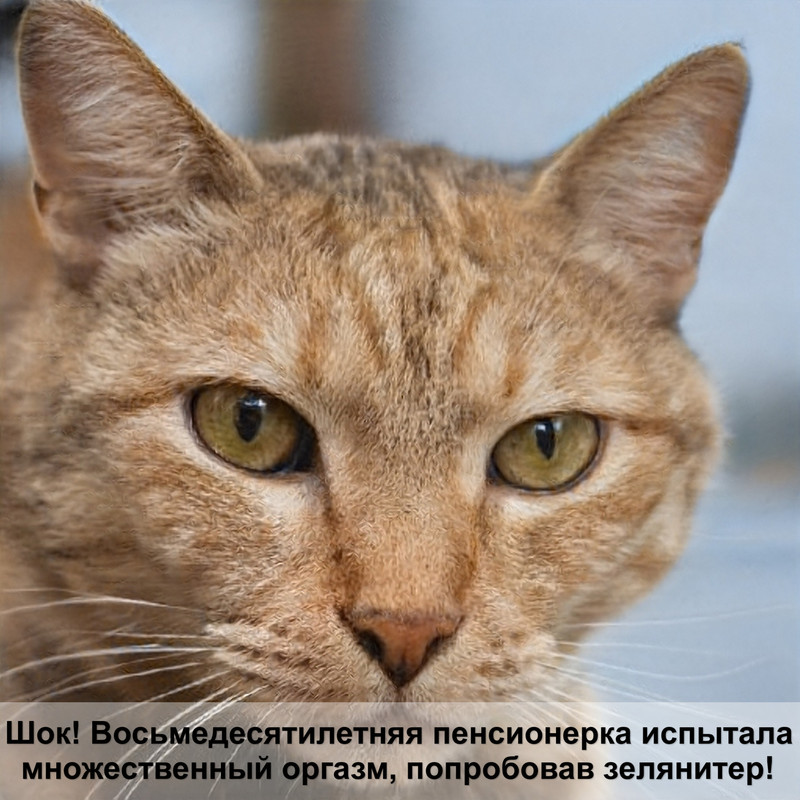 кошка облысела возле хвоста