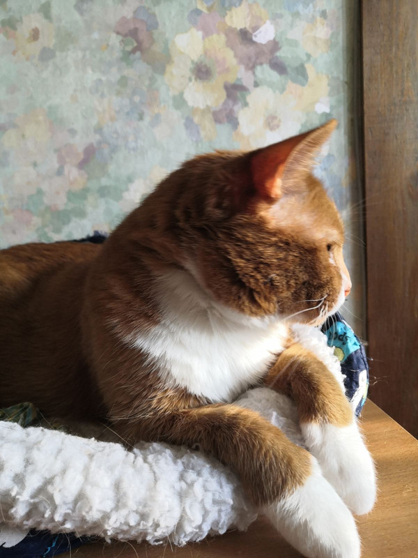 410A8F0B-9059-437D-9B7E-CAF95BCC6264