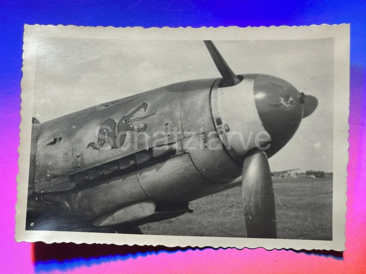 Foto Luftwaffe (JG 1) 2 Staffel Flugzeug Me 109 mit Tatzelwurm (MJ 199)
