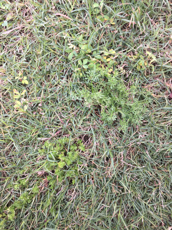 423EDBD4-978E-421A-8F40-9A88C0370D33