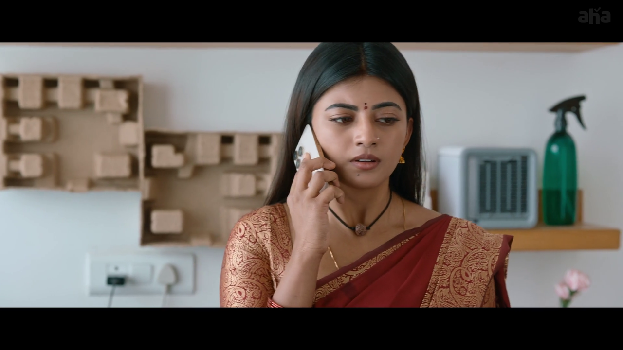 vlcsnap-2025-04-21-20h11m55s286