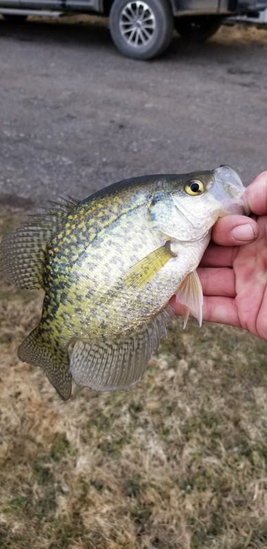 20190328_180236