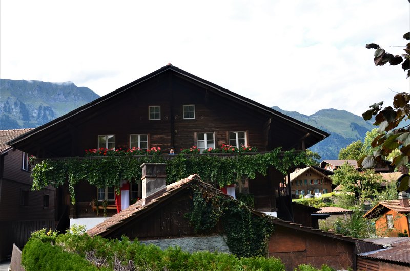 BRIENZ E ISELTWALD-9-9-2019 - Suiza y sus pueblos-2019 (49)