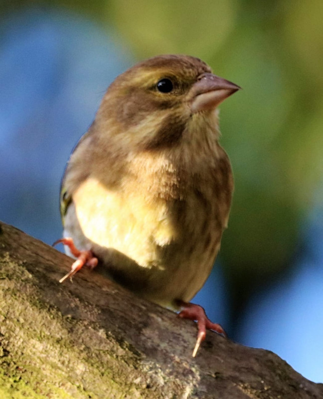 670D35D2-EEE6-4E27-913F-855262B4788F