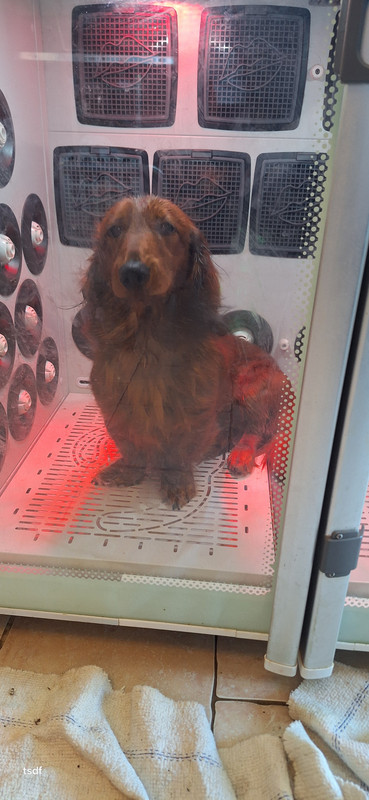 [Image: 20250305-161254.jpg]