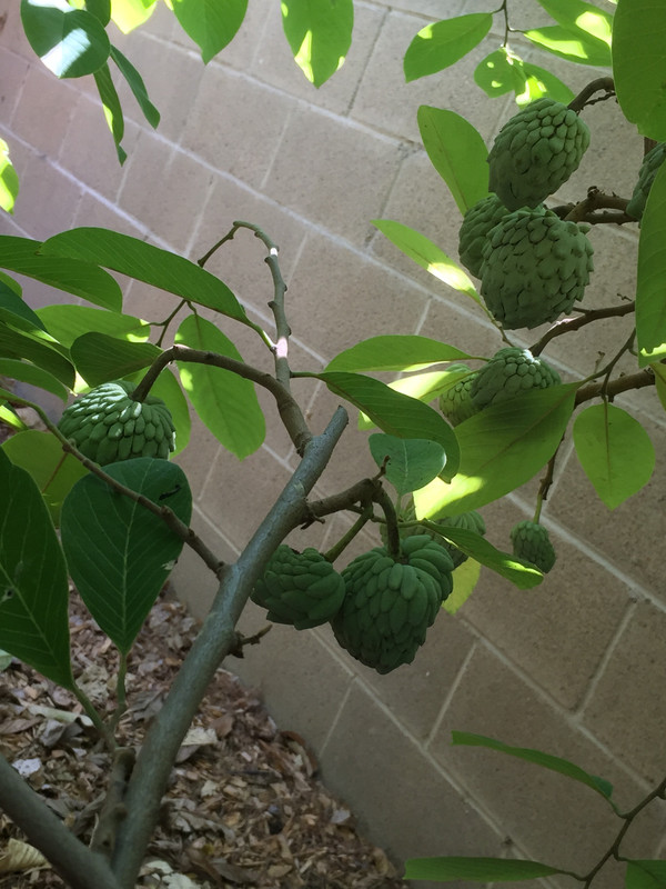 079B00BB-1D0B-4E85-B369-7EC65AE05401