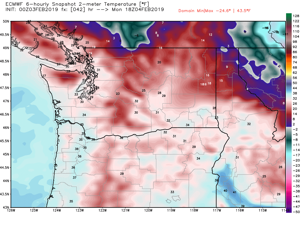 ecmwf-t2m-washington-8.png