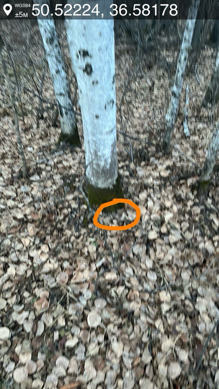 photo 36 2025 11 24 13 59 10