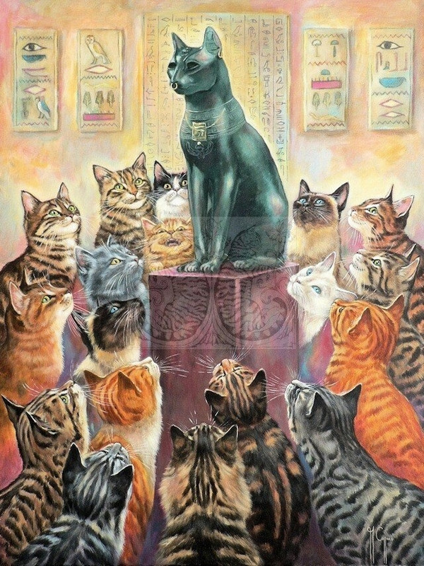 31