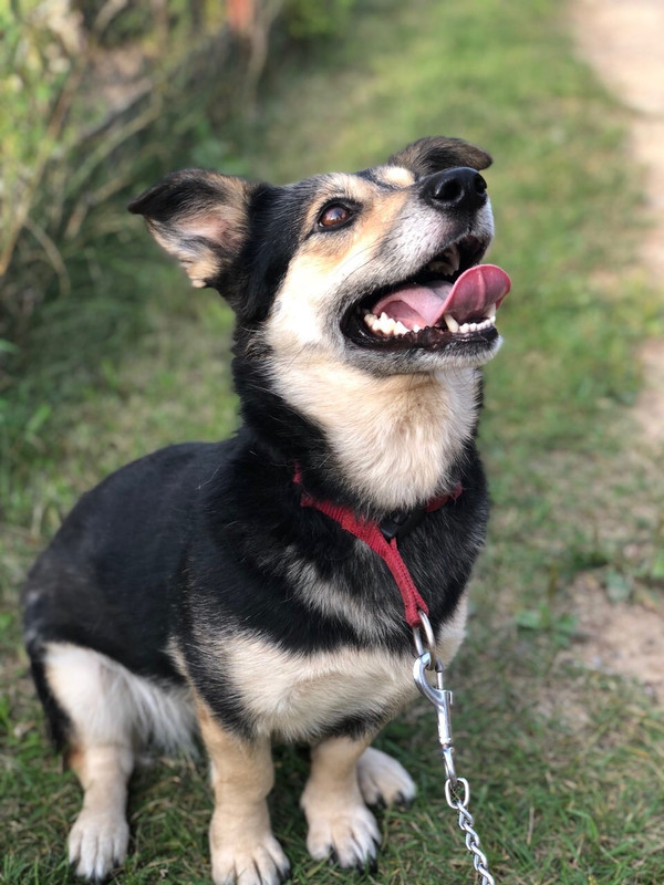 E9467161-8A08-4F65-8600-AE1A1CF436AD