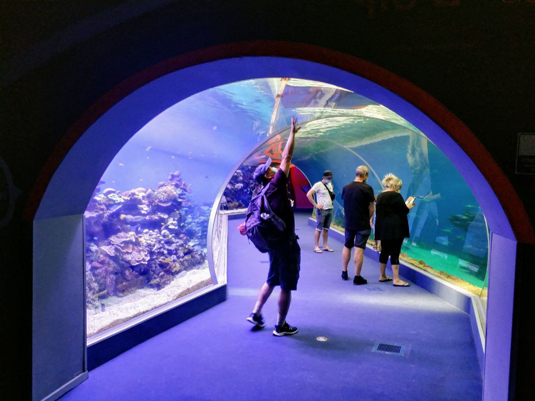 C305CC7E-19F2-46BC-933C-6C29FE45F653