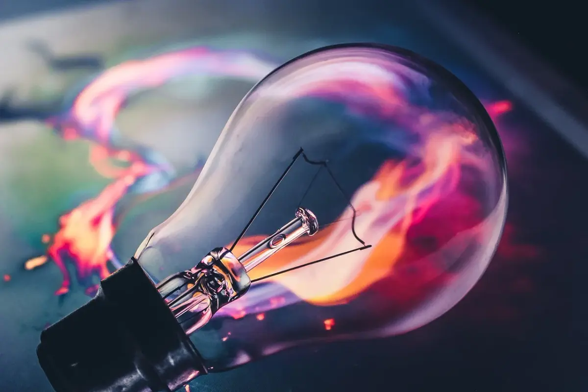 pink-bulb-5665770-1280.webp