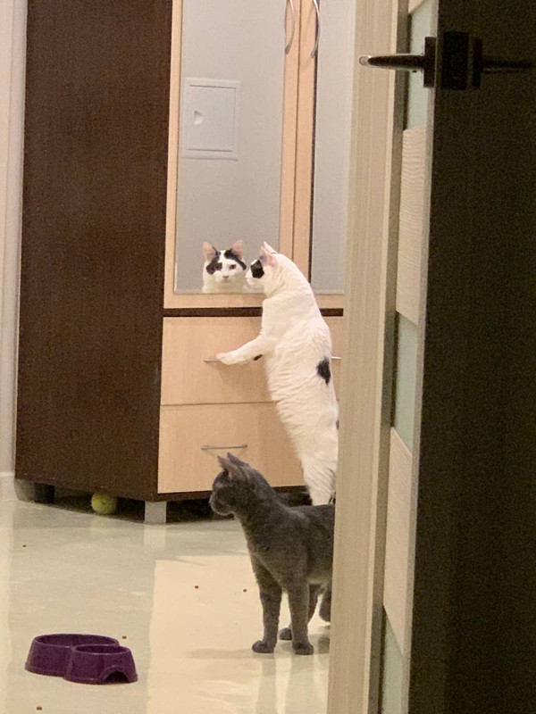 1D637A62-F7E3-49A4-9E86-35CC4C62D23A