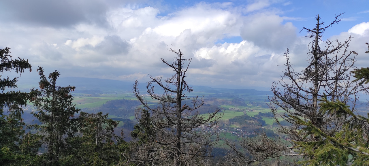 03.03 - IMG_20230429_152348 (Czesio1)